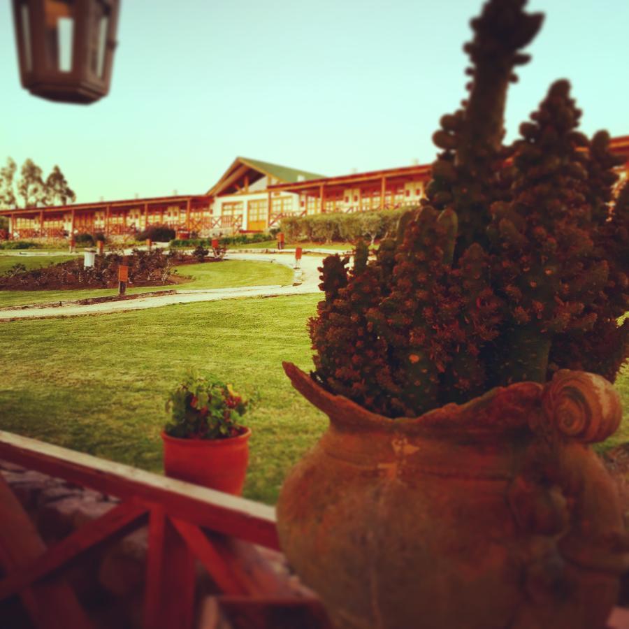 Hacienda Santa Cristina Hotel Ovalle Bagian luar foto