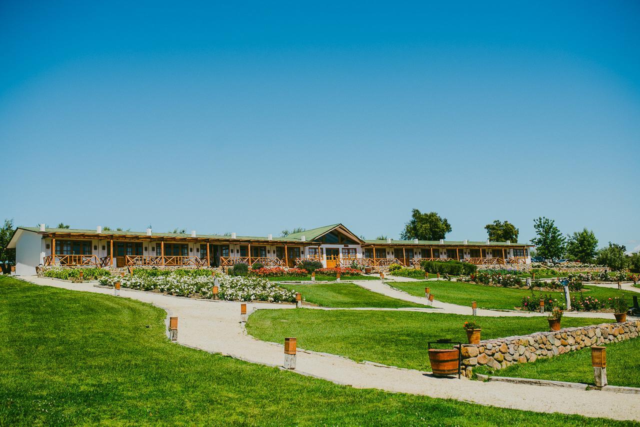 Hacienda Santa Cristina Hotel Ovalle Bagian luar foto