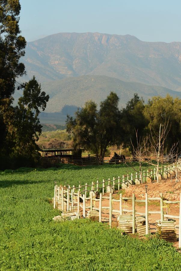 Hacienda Santa Cristina Hotel Ovalle Bagian luar foto