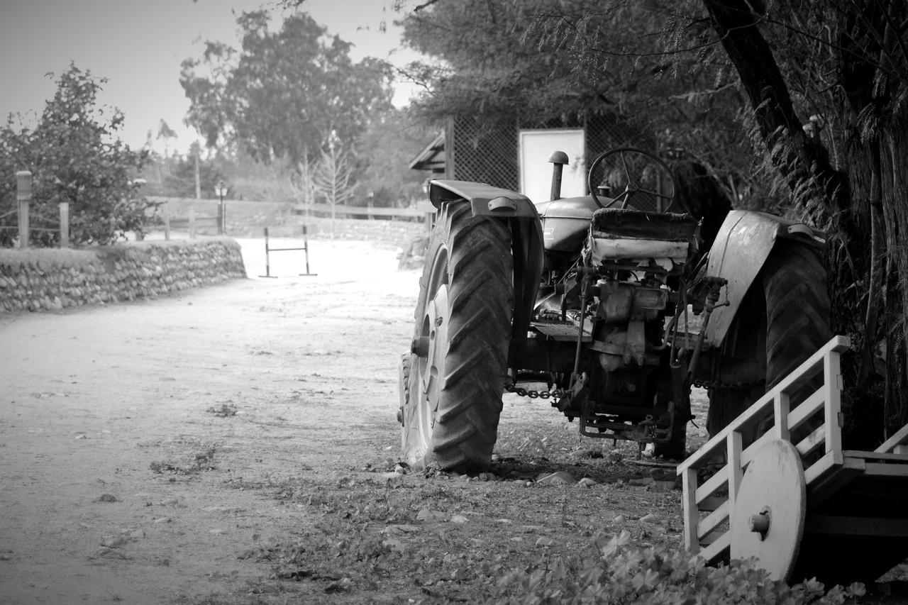 Hacienda Santa Cristina Hotel Ovalle Bagian luar foto